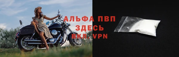 ALPHA PVP Беломорск
