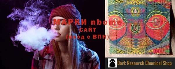mdpv Бородино