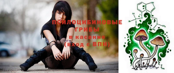 твердый Бугульма
