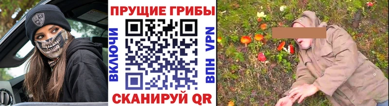 где продают наркотики  Верея  Псилоцибиновые грибы Psilocybe 